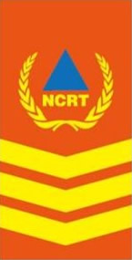 一级队员 / 助理指挥员 / 助理讲师