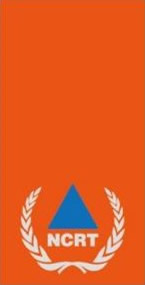 三级指挥员 / 三级讲师